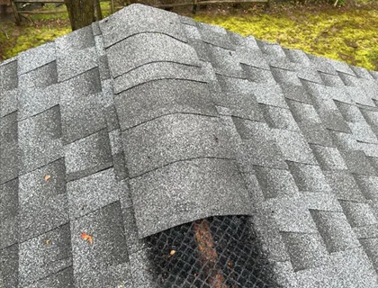 Emergency roof repair NJ