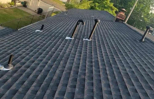 Shingle roof project